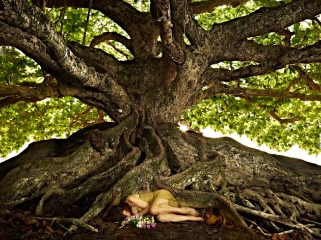 kauai.CF001396.web_-900x674